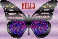 hello butterfly