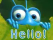 hello