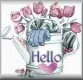 hello roses