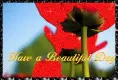 Have A beautiful dAY