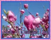 Have A Beautiful Day!