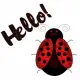 Hello