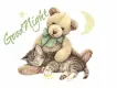 GoodNight
