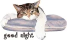 good night