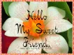 Hello Friend