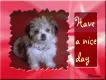 Have a nice day