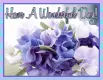 Have A Wonderful Day!