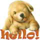 hello!