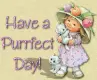 Have a Purrfect Day!