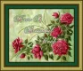 beautiful week roses