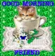 GOOD MORNING FRIEND