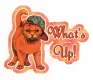 What's up? Cat