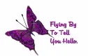 Hello~Butterfly