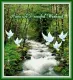 MM_Peaceful_Waters