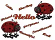 Hello ladybugs