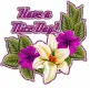 Nice Day