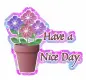 Have a Nice Day