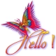 hello/butterfly