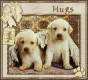 hugs