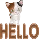 KITTEN HELLO