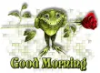 good morning frog