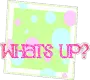 whats up