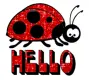 ladybug hello red