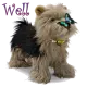 shaggy dog hello