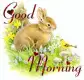 good morning
