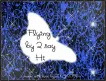 Flying By To Say Hi