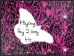 Flying By To Say Hi