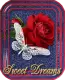 Sweet Dreams