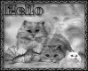 hello