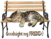 Good Nite My Friend