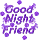 Good Night Friend