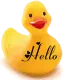 Hello