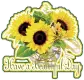 Have a beautiful day