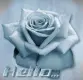Hello...