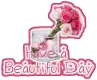 Have a beautiful Day
