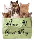 Have a great Day