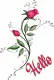 Hello~Roses