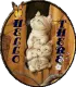 Kitten Greetings