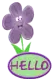 Hello Flower