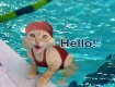 Hello