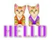 hello
