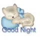 good night