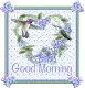 good morning