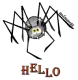 Spider Hello
