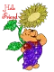 winnie the pooh hello