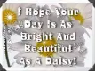 Bright As A Daisy
